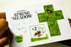 springmeadow1.jpg