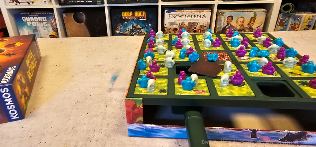 battle royal 0010