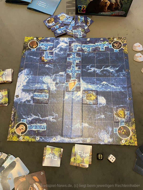 Flow Brain Games 2
