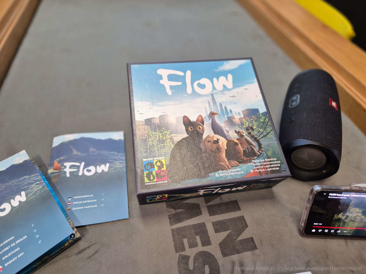 Flow braingames 3
