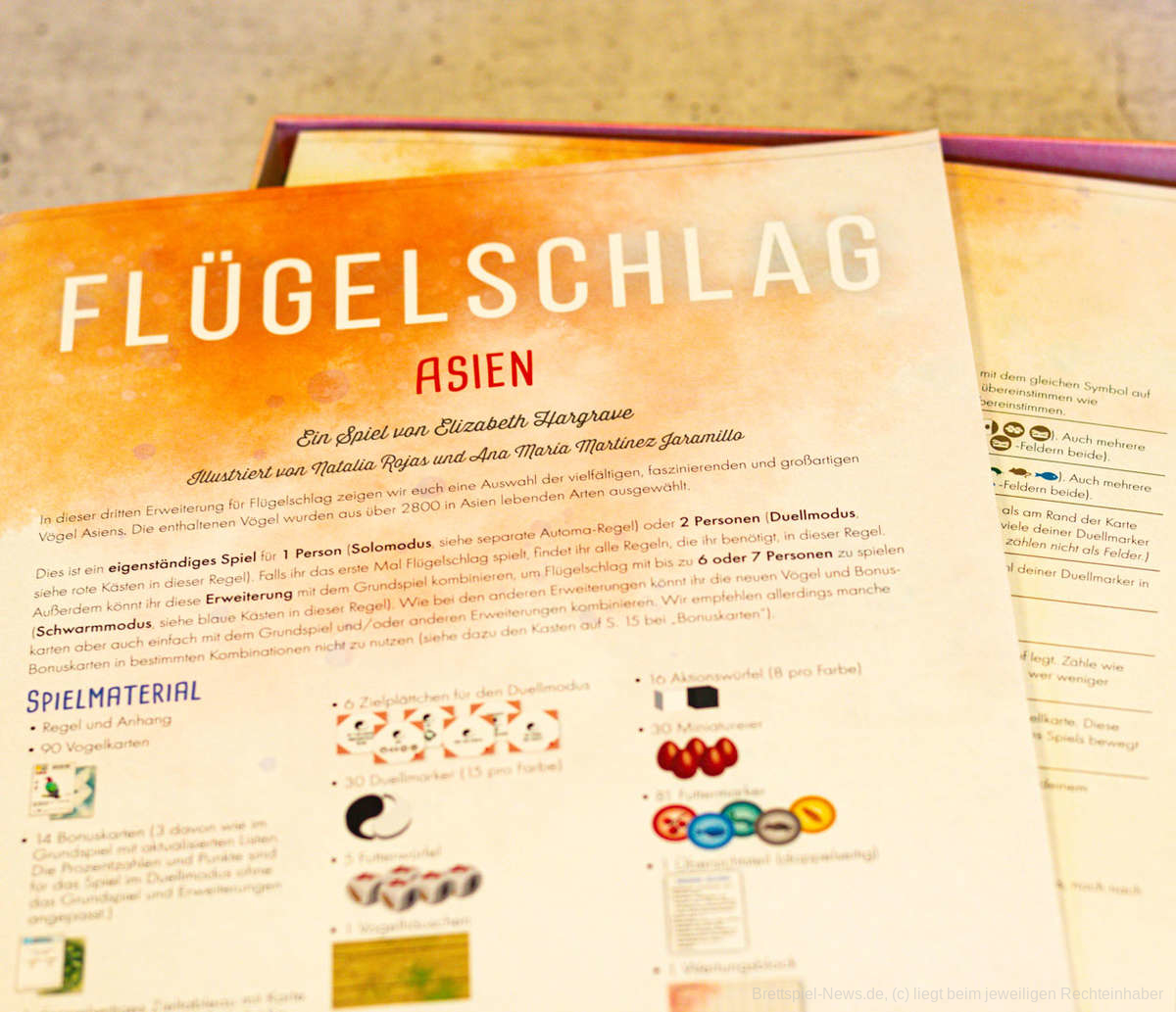 fluegelschlag asien 002