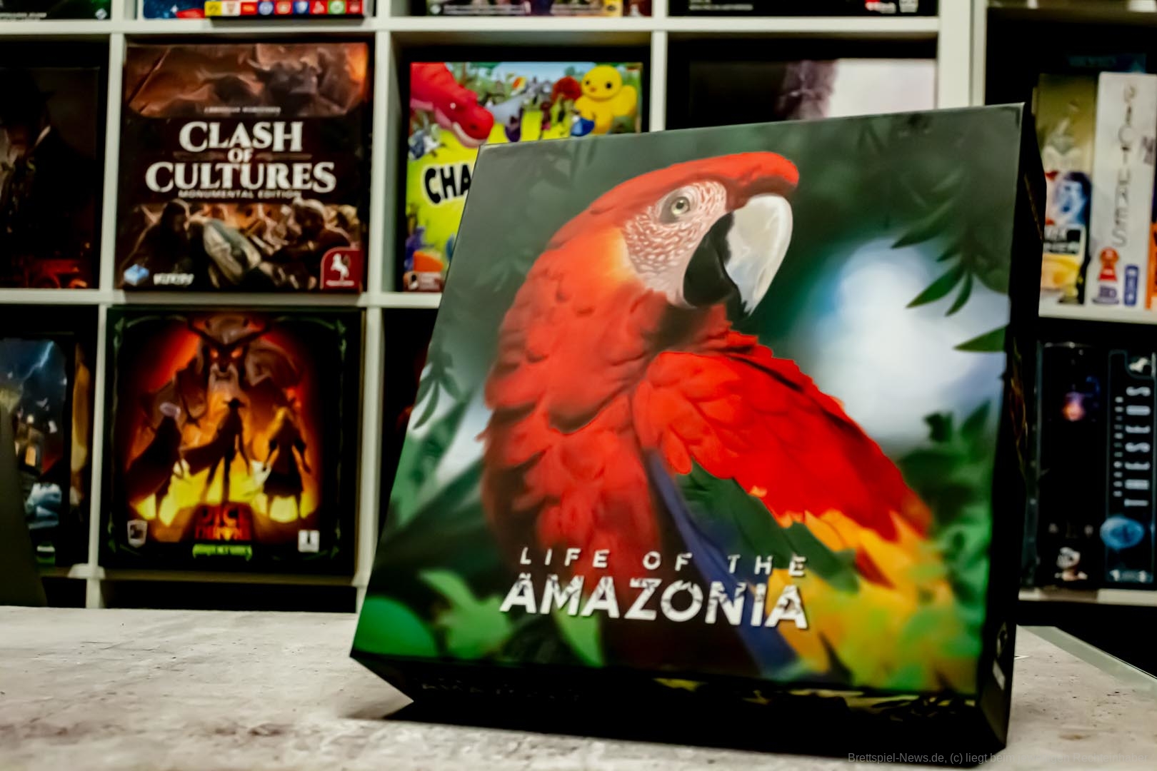 Test | Life of the Amazonia