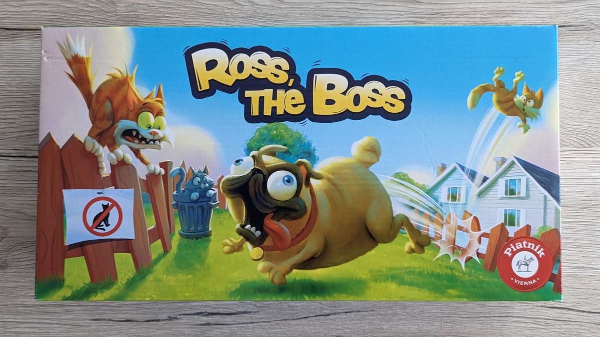 Kinderspieltest | Ross the Boss