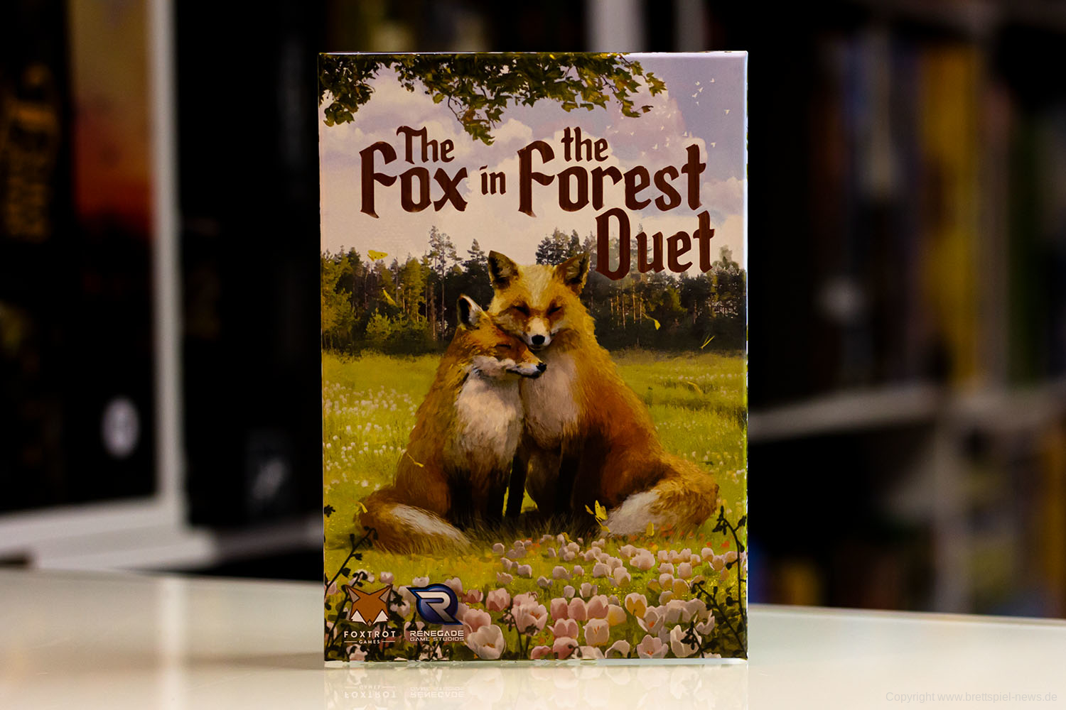 TEST // THE FOX IN THE FOREST DUET