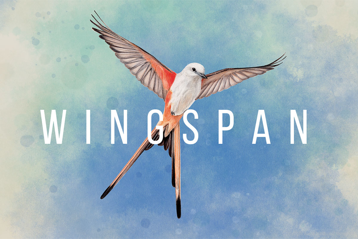 WINGSPAN // Spiel nun auf dem PC verfügbar