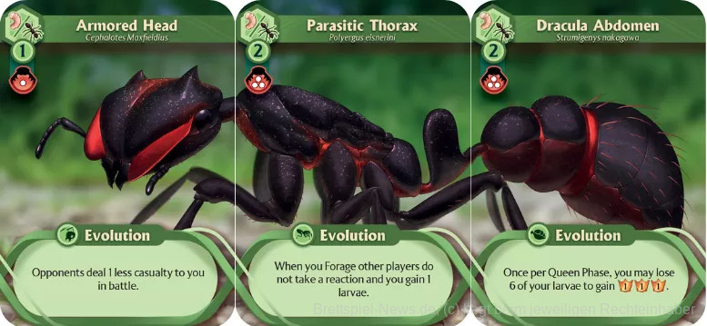 march of the ants3