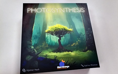 Photosynthesis: Ich seh den Wald vor lauter Bäumen nicht mehr…