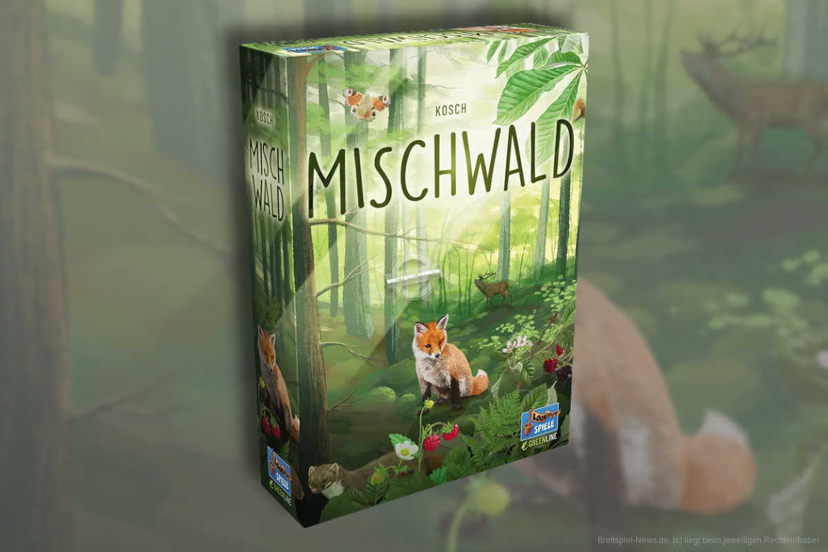 Mischwald 