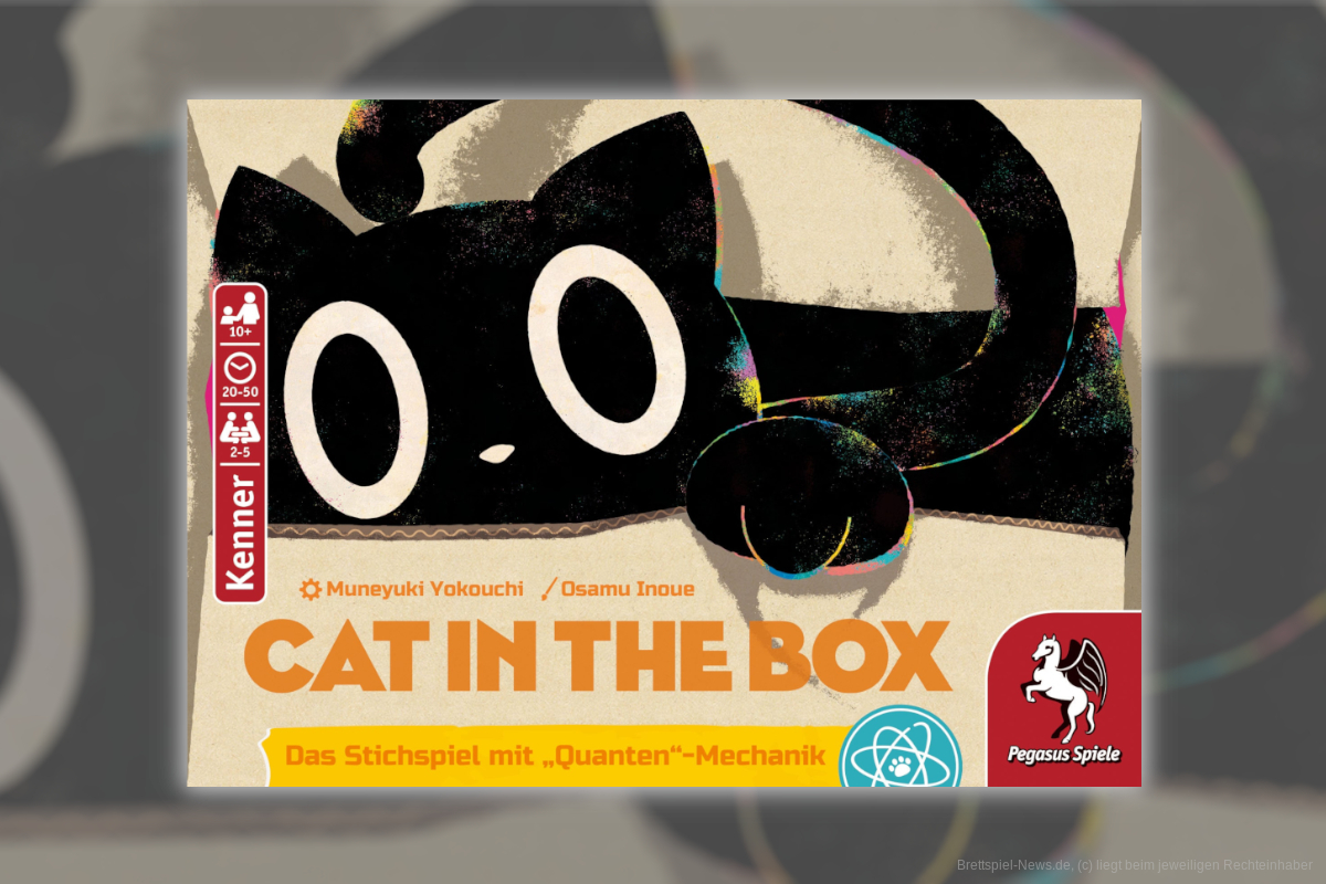 „Cat in the Box“ 