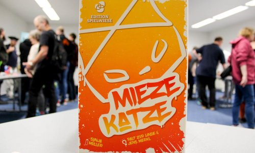 Ersteindruck Mietzekatze