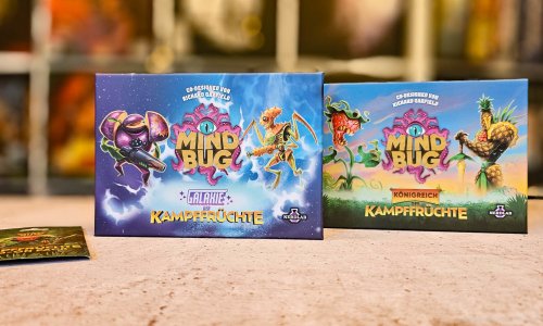 Neuheit sammelt viele gute Bewertungen auf BGG ein – bald im Handel