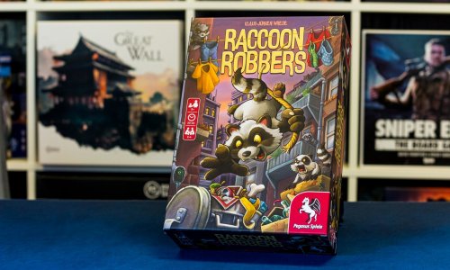 Test | Raccoon Robbers