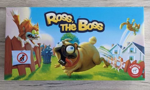 Kinderspieltest | Ross the Boss