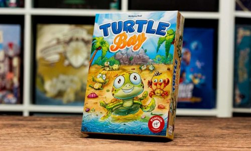 Test | Turtle Bay