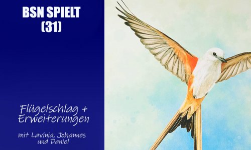 #247 BSN SPIELT (31) | Flügelschlag und die Auswirkung auf die Branche