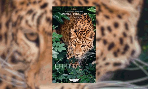 Was wäre die Erde ohne Tiere