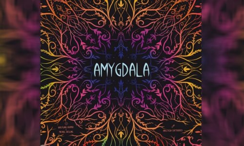 Amygdala | 