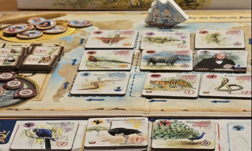 Auf den zufälligen Wegen von Darwin